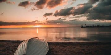 Beach Camping 101: Your Guide to Sleeping Under the Stars - Cover Image
