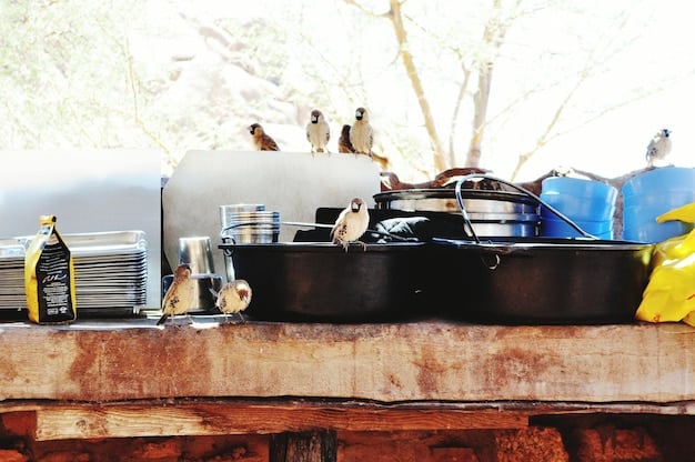A close-up of a well-organized portable camping kitchen with neatly arranged containers, utensils, and cooking equipment on a beach. The surrounding area is clean and inviting.