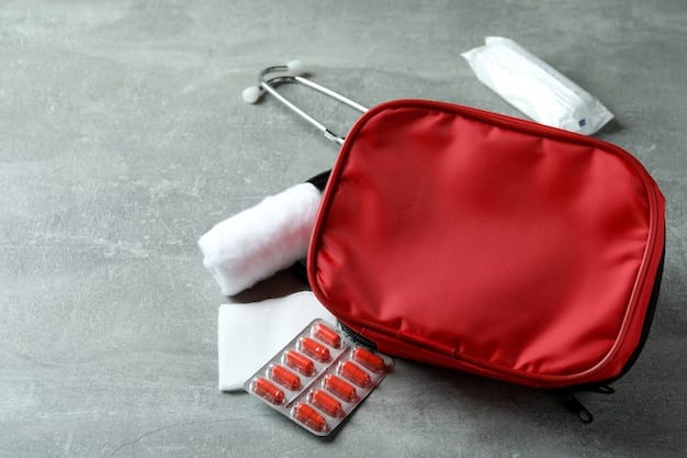 A variety of first aid items, including pain relievers, motion sickness medication, and allergy medication, neatly organized in a small, portable bag.