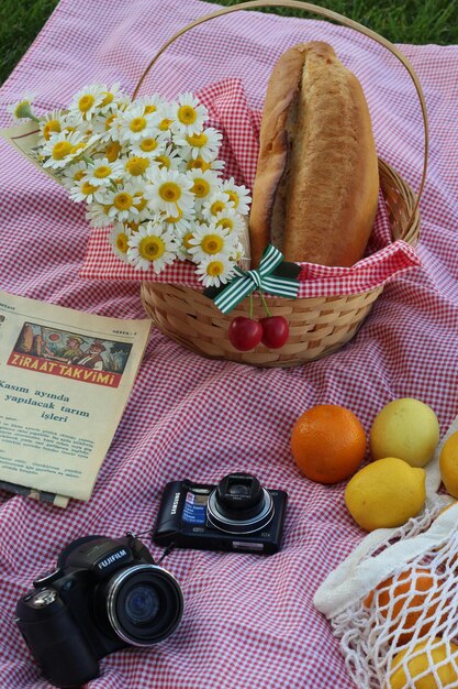 A close-up of a picnic basket filled with sandwiches, fruits, and drinks on a checkered blanket on a sunny beach. The ocean and sky are visible in the background.
