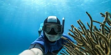 How to Choose the Best Snorkel Gear for Underwater Photography: A 2025 Comparison - Cover Image