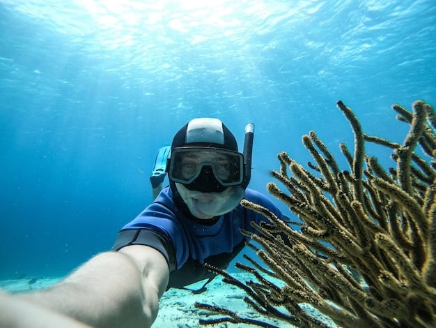 How to Choose the Best Snorkel Gear for Underwater Photography: A 2025 Comparison
