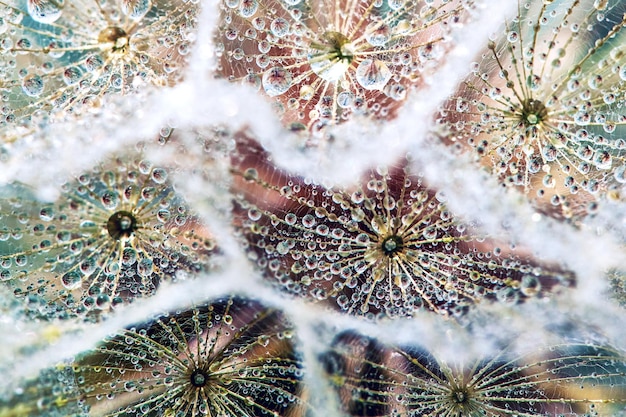Close-up shot of a variety of colorful sea shells and frosted sea glass scattered on wet sand, emphasizing their unique textures and patterns.