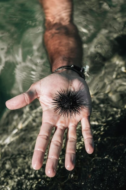 A close-up photo of a person's hands wearing gloves and carefully picking up a piece of sea glass from the sand, showcasing proper beachcombing etiquette and gear.