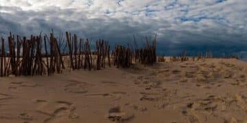 Coastal Erosion Awareness: Protect Our Beaches and Shorelines - Cover Image