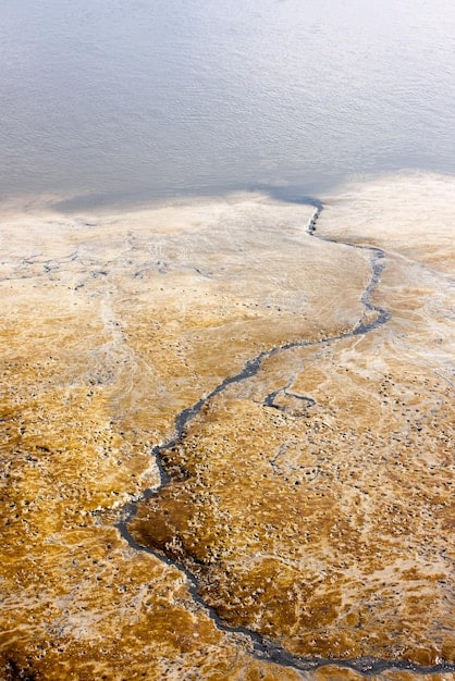 A close-up shot of a eroded shoreline, showing the layers of sediment being washed away by gentle waves. The image focuses on the texture and details of the eroded land, with small plants struggling to hold on to the remaining soil. The lighting should be soft to emphasize the vulnerability of the coastline.