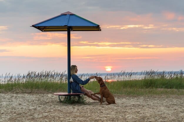 A small dog wearing sunglasses sitting in a beach chair next to its owner on a sunny beach. There's an umbrella providing shade.