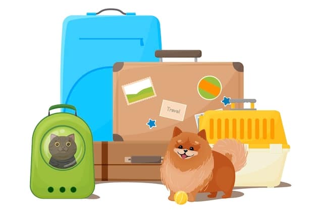A well-organized suitcase with dog supplies: food, water bowl, toys, leash, poop bags, and a first aid kit.