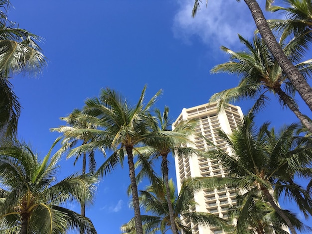Stay Longer, Spend Less: Beach Resort Extended Stay Deals in US