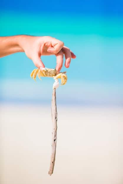 A close-up of a beach umbrella's sand anchor, showing hands firmly twisting the auger-tipped pole into the sand, emphasizing secure installation.
