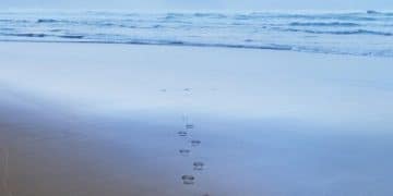 Minimize Your Environmental Impact on US Beaches in 2025 - Cover Image