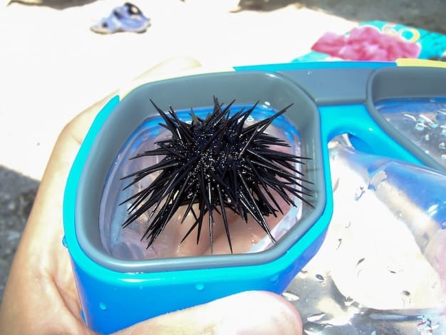A person's hands closely examining the silicone skirt of a snorkeling mask for small tears or signs of wear, highlighting attention to detail.