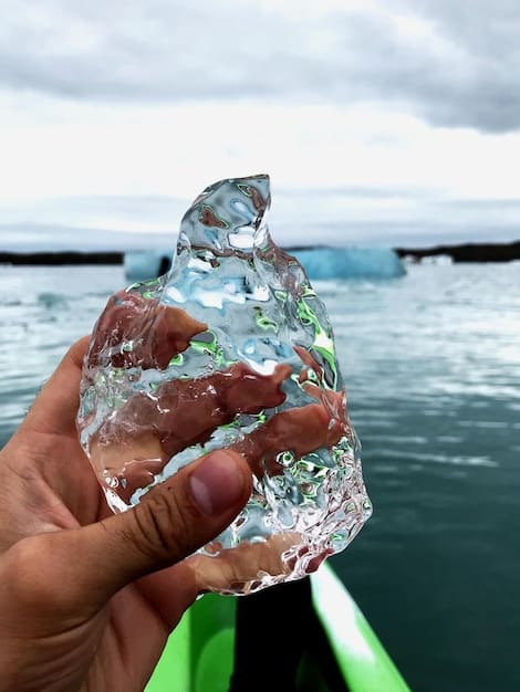 A paddleboarder picking up a small piece of plastic debris from the water while on their board, demonstrating environmental responsibility. The water is clear and untouched except for the small litter.