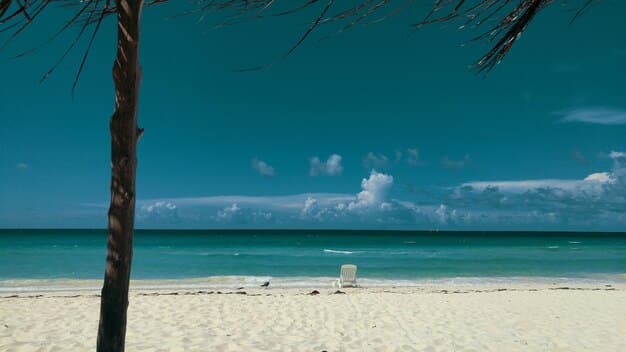 A pristine, empty beach with clear turquoise water and swaying palm trees, conveying a sense of exclusive privacy available during strategic booking periods.