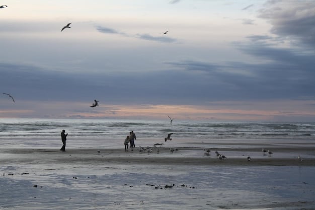 A tranquil beach during an off-season morning, with mist rolling in from the ocean, seagulls flying, and a lone figure walking a dog on the sand, emphasizing peace and solitude.
