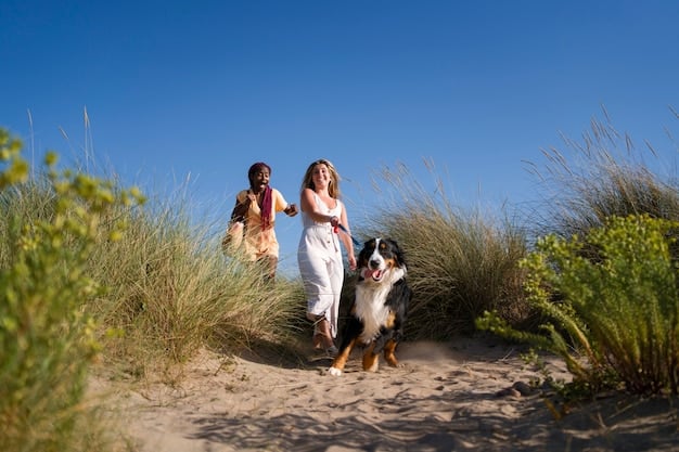 Pet-Friendly Budget Beach Trips: Affordable US Destinations
