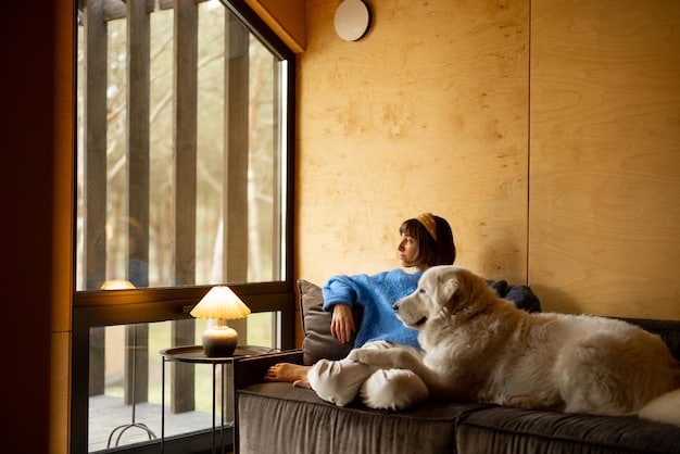 A cozy, pet-friendly vacation rental living room with a dog comfortably sleeping on a rug, suggesting a home-away-from-home atmosphere.