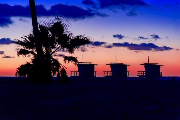A serene beach scene with a few palm trees and calm, clear water, bathed in soft, early morning light, suggesting tranquility and less crowded times.