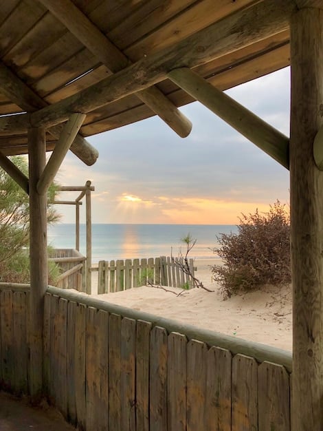 A charming, rustic beachfront cottage with exposed wooden beams and a small porch overlooking a calm, blue ocean, with a path leading directly to the sand. The setting is sunny and inviting.